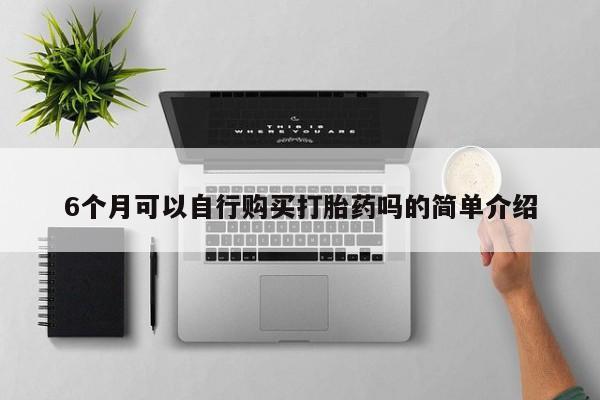 私人诊所有打胎药6个月可以自行购买打胎药吗的简单介绍